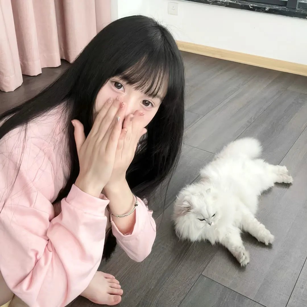 家裂 第三季